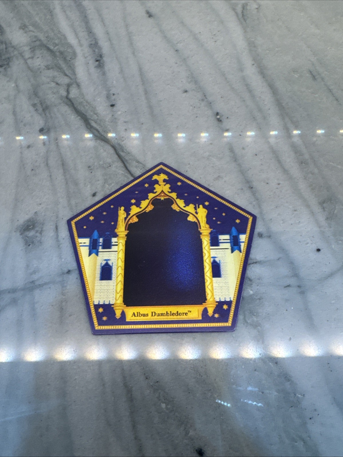 Harry Potter Missing Albus Dumbledore Rare Chocolate Frog Card Collectible