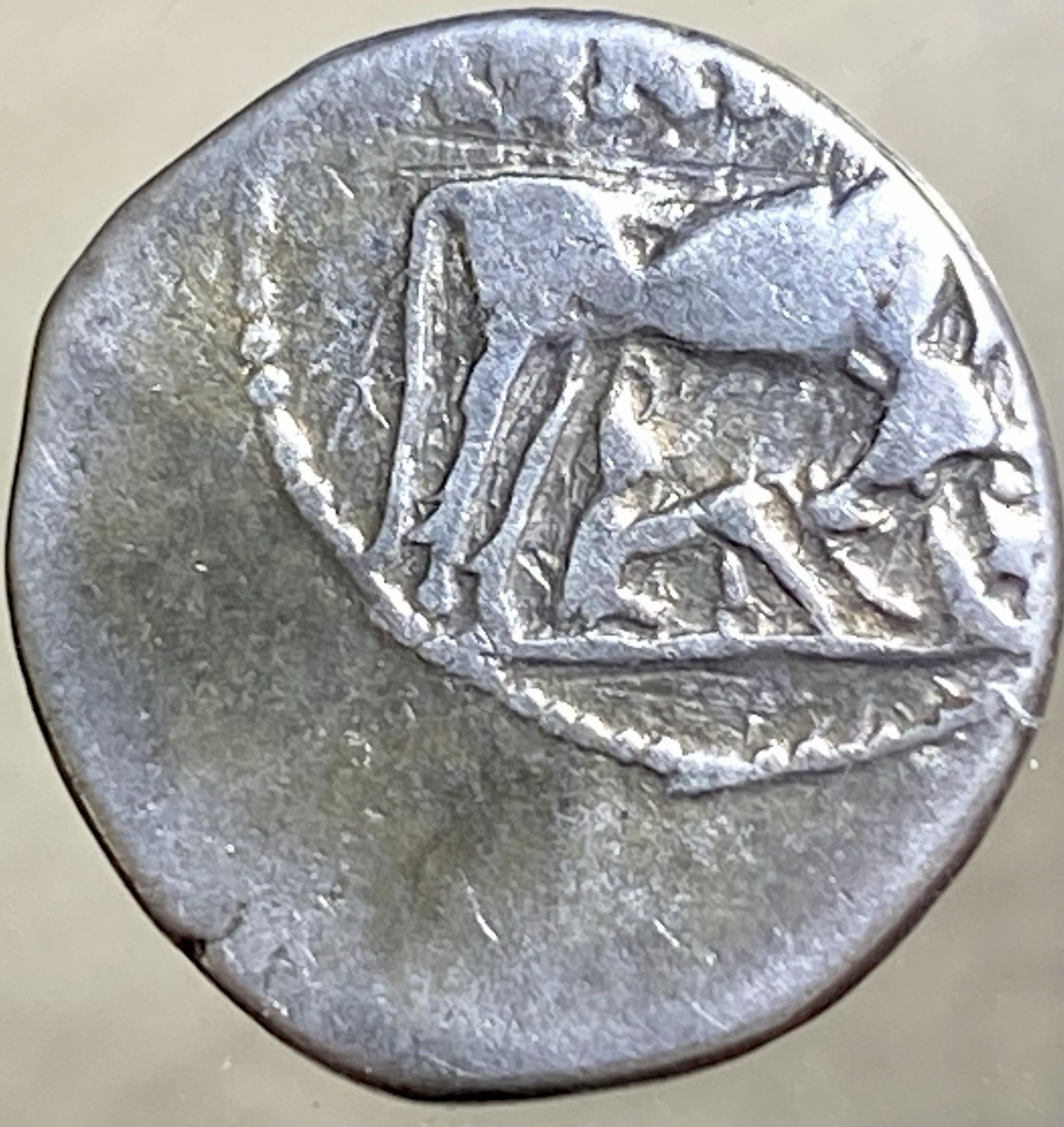 Ancient Greece Illyria Coin 229BC-100BC Drachm Greek Silver Genuine Cow & Calfs