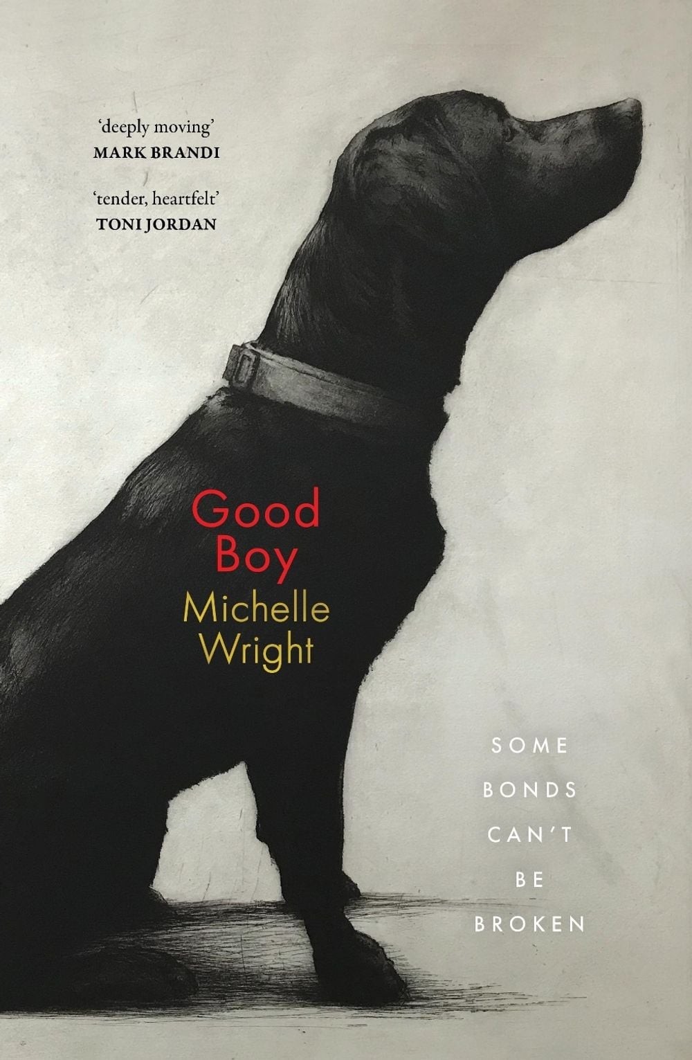 Good Boy by Michelle Wright Paperback Book