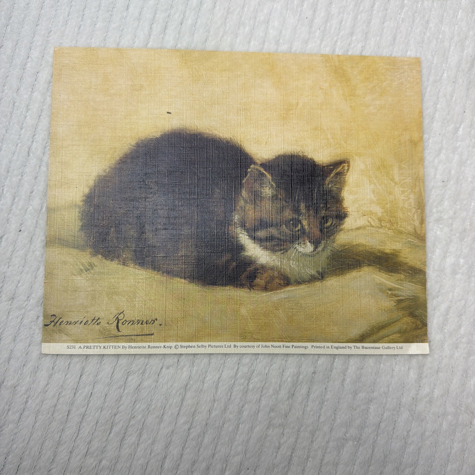 Stephen Selby A Pretty Kitten Henriette Ronner-Knip Vintage Art Print
