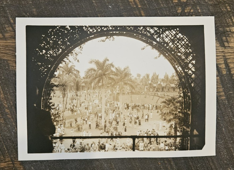 Beautiful 1936 Horse Racing Press Photo of Hialeah Park Paddock from Clubhouse