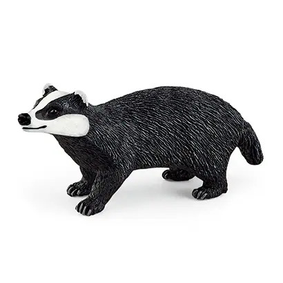 14842 Badger 14842 Badger