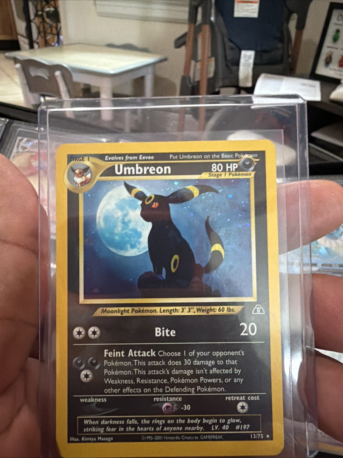 Umbreon 13/75 Neo Discovery Holo Umbreon 13/75 Neo Discovery Holo