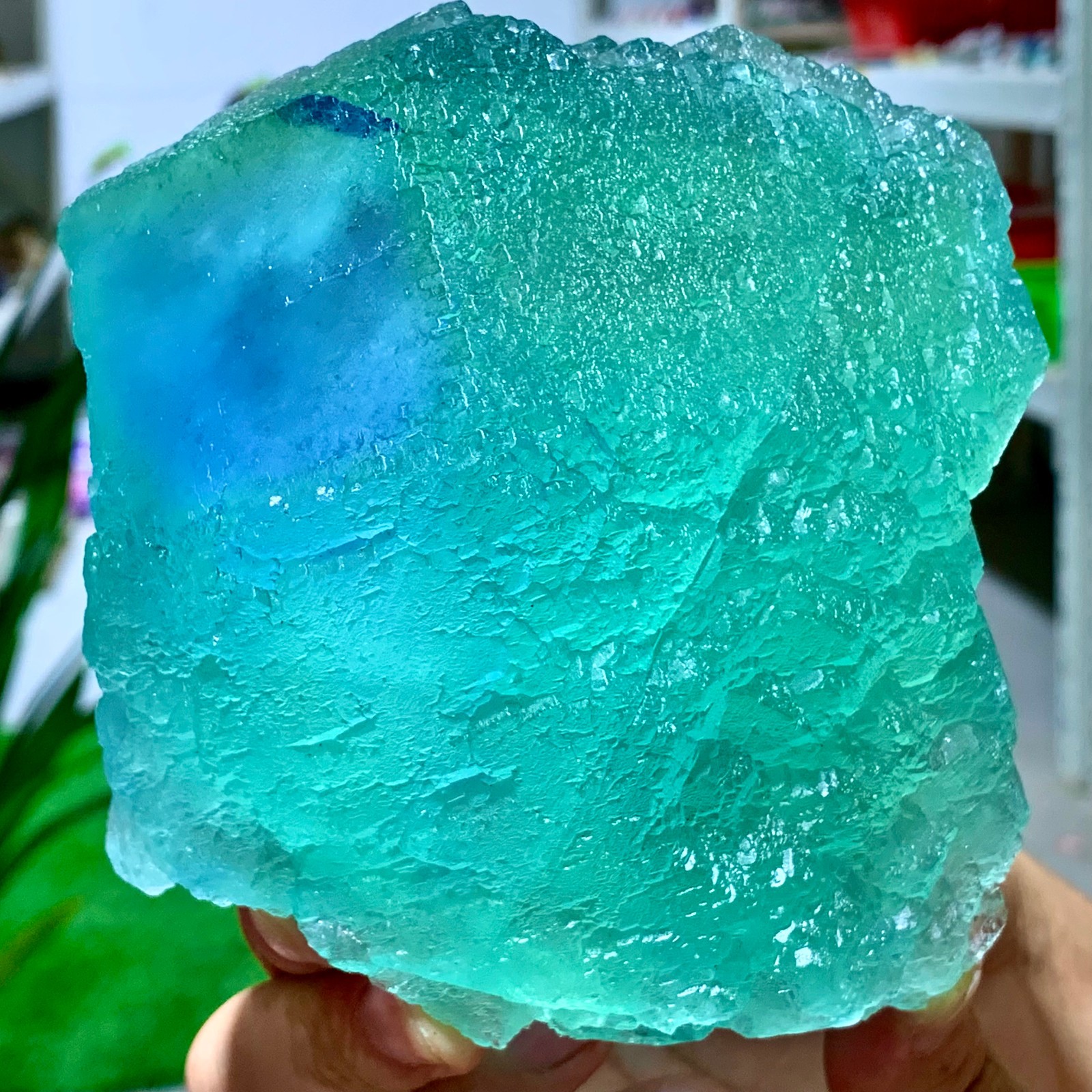 1.88LB Rare transparent Green blue cubic fluorite mineral crystal sample/China
