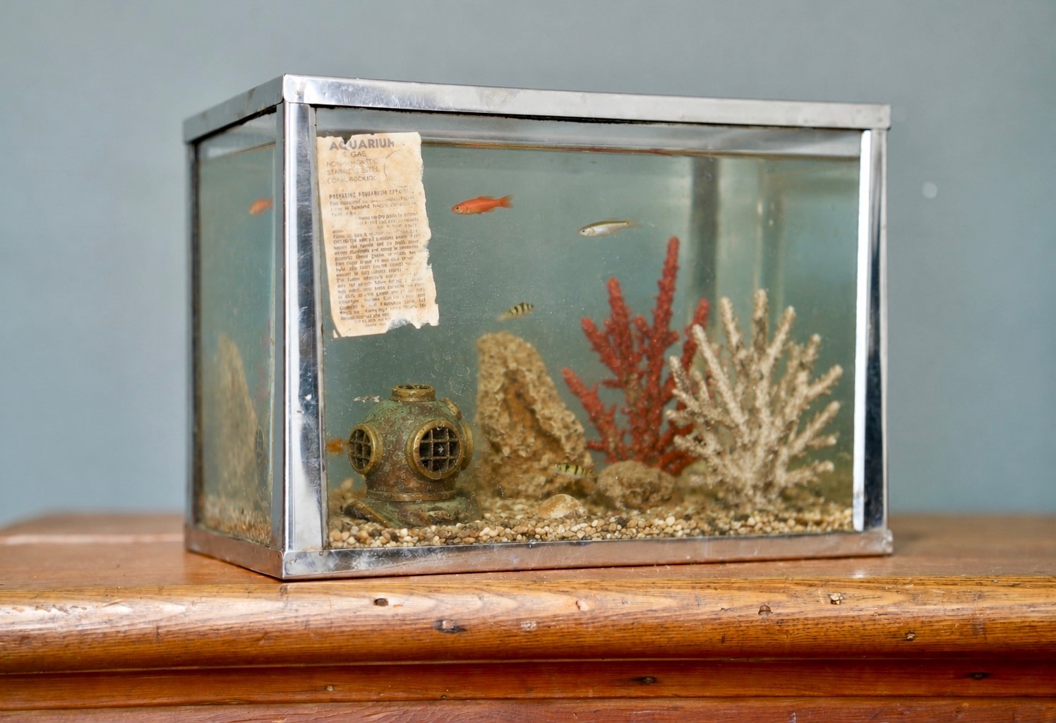 Vintage Sternco Aquarium Fish Tank Terrarium Stainless Steel Slate Bottom 5 Gal Vintage Sternco Aquarium Fish Tank Terrarium Stainless Steel Slate Bottom 5 Gal