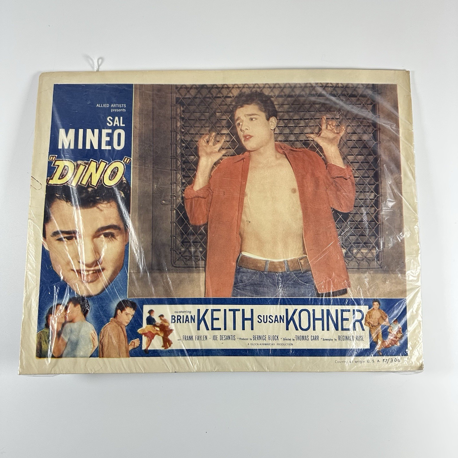 1957 DINO Original Movie Lobby Card Sal Mineo Brian Keith Susan Kohner Vintage