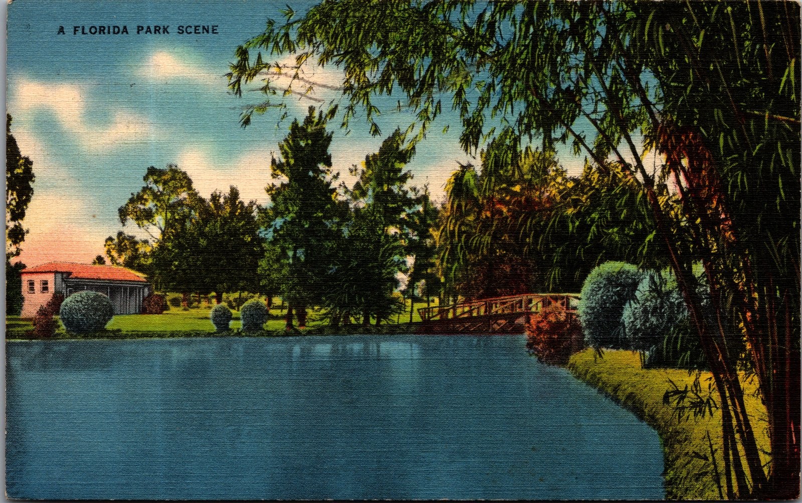 1938 A Florida Park Scene Postcard Linen Clearwater FL Posted Vintage