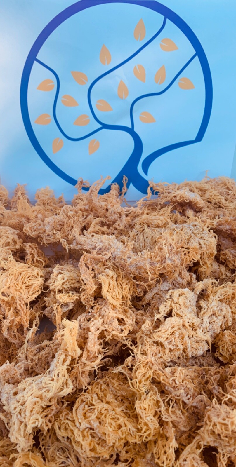 16oz 100% Raw St.Lucia Golden Sea Moss-Wildcrafted 