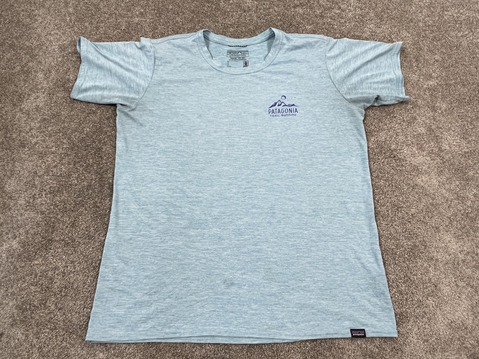 Patagonia Capilene Cool Daily Shirt Mens Large Blue Trail Running Graphic Tee