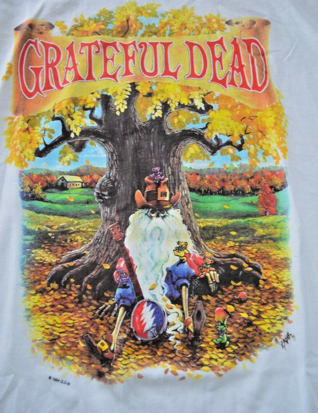 1994 Grateful Dead MSG NYC Fall Tour Shirt NEVER BEEN WORN Rare Jerry Weir 