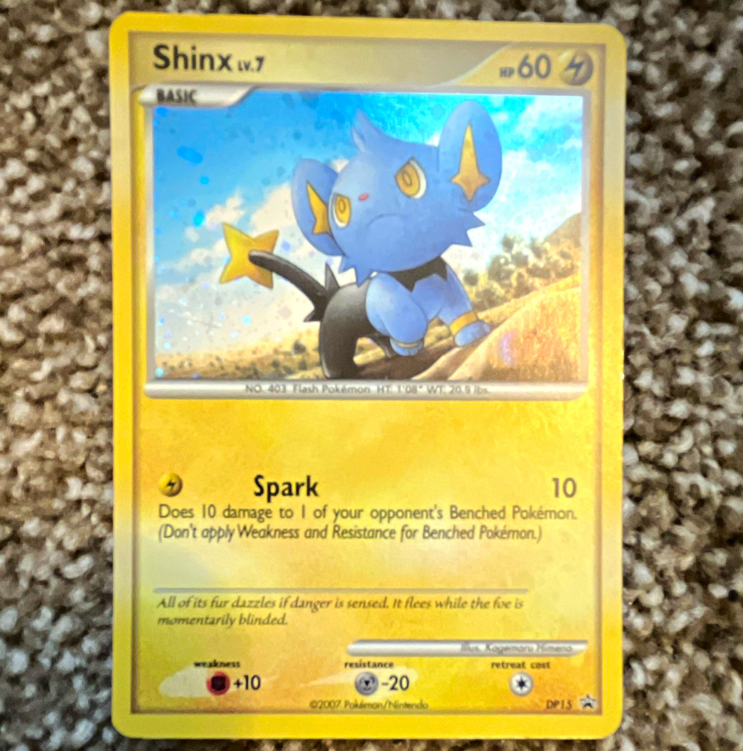 Shinx DP15 Diamond & Pearl Promo Holo English (2007) LP/MP