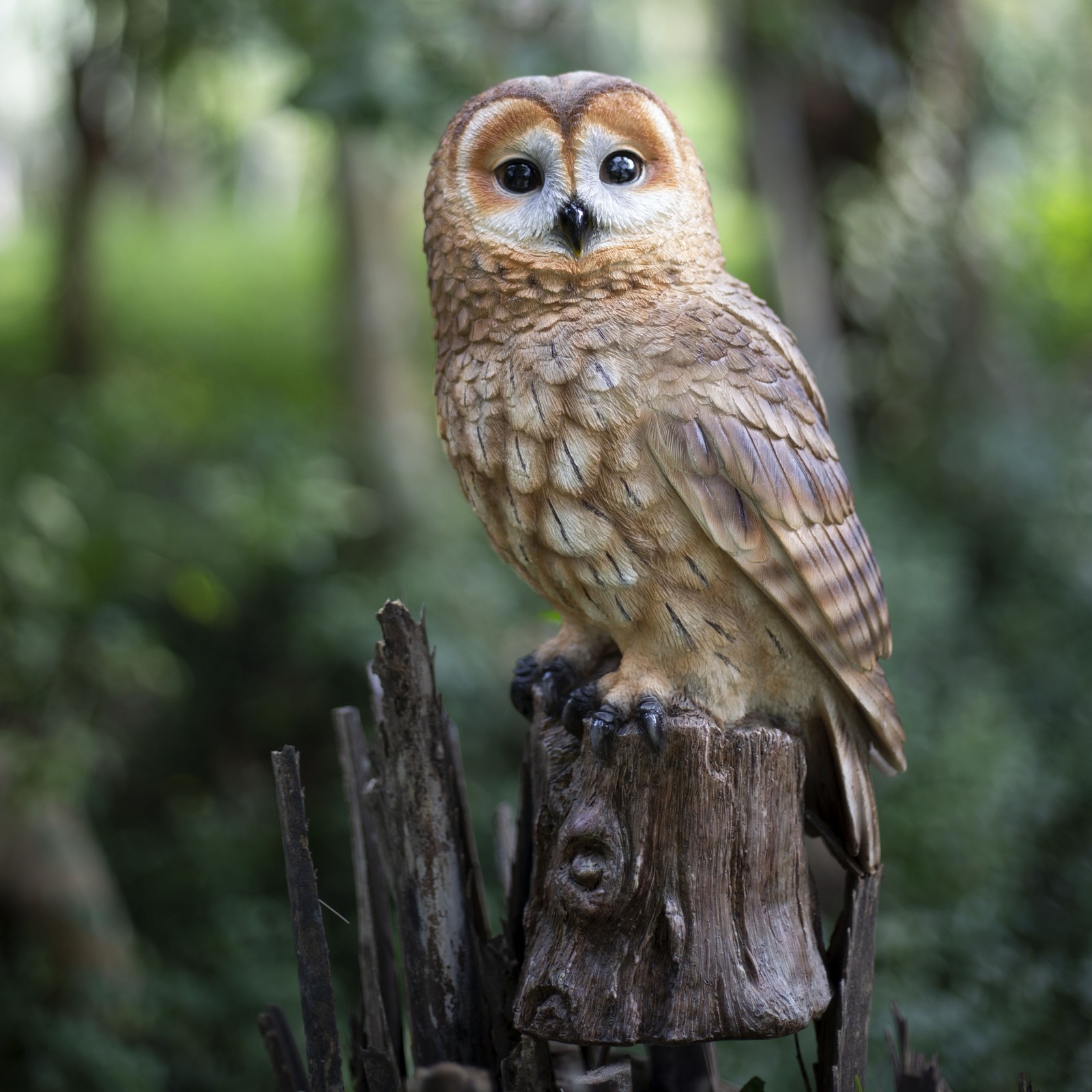 SoReal Brown Owl on branch | Handcrafted Decorative Bird Statue