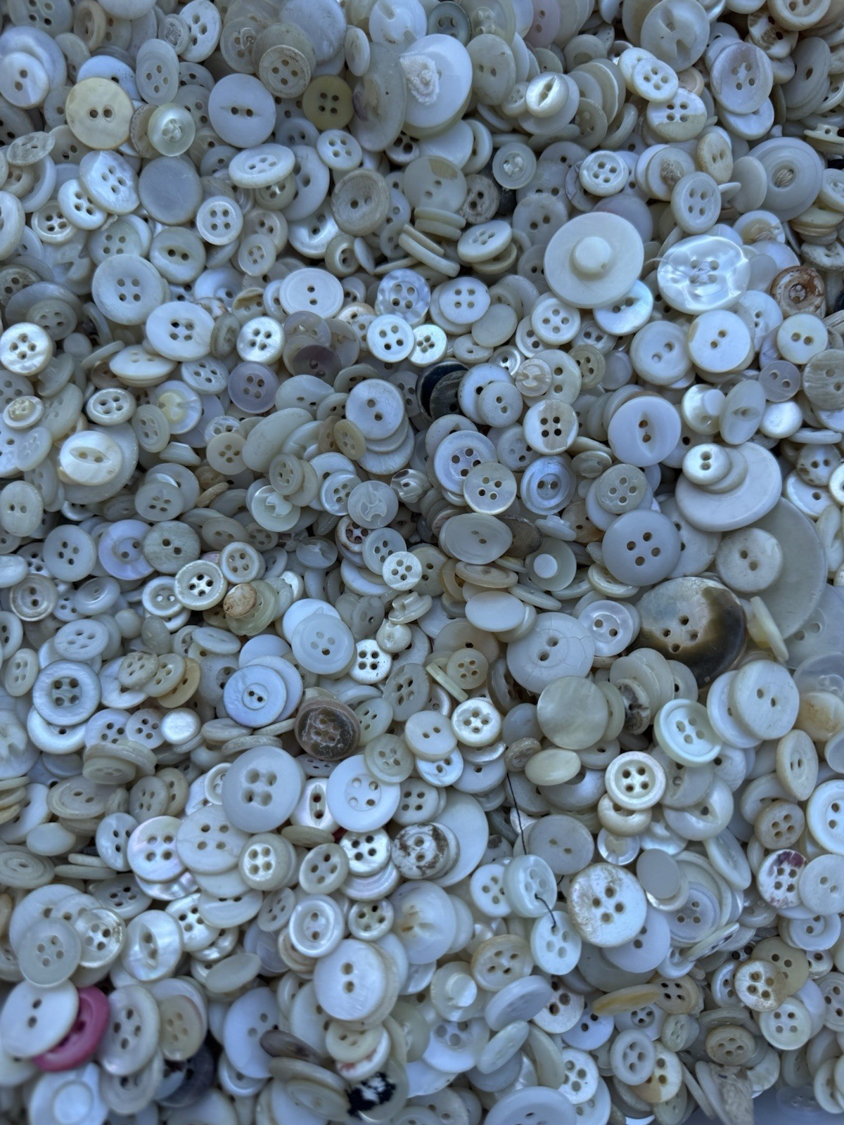 1lb Scoop White Buttons Mix Mother of Pearl Shell Craft Sewing Cottagecore