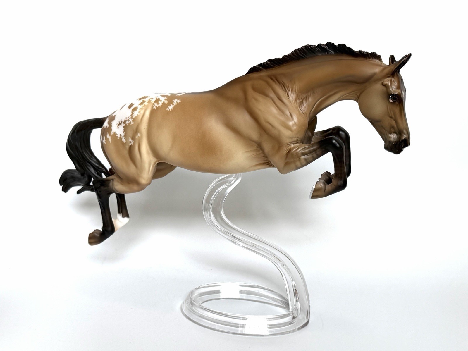 Breyer 2022 Birds of a Feather Series PEREGRINE Bristol Jumper Dun Appaloosa WOW Breyer 2022 Birds of a Feather Series PEREGRINE Bristol Jumper Dun Appaloosa WOW