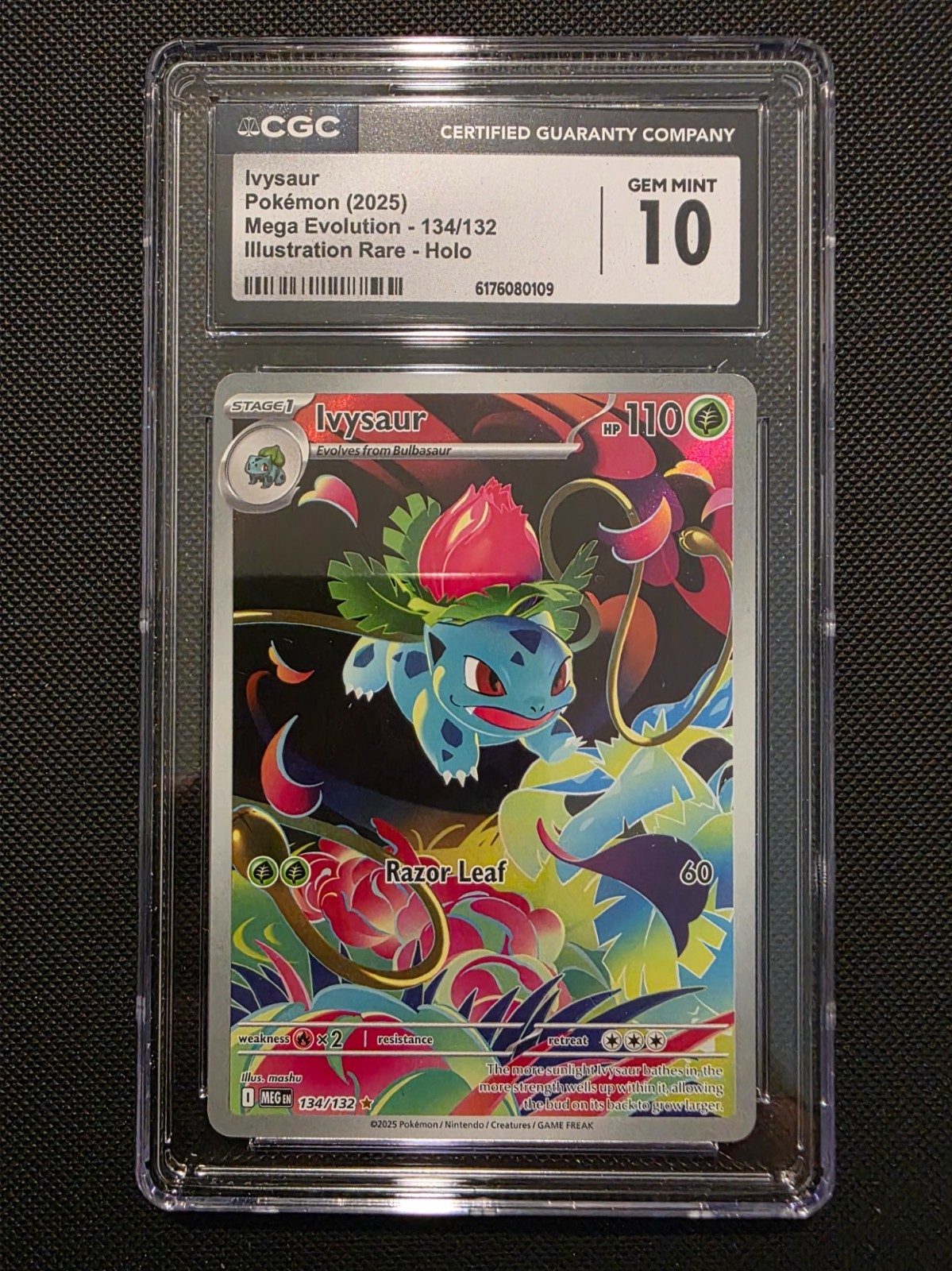 Ivysaur 134/132 IR - Pokémon Mega Evolution CGC 10 GEM MINT Ivysaur 134/132 IR - Pokémon Mega Evolution CGC 10 GEM MINT