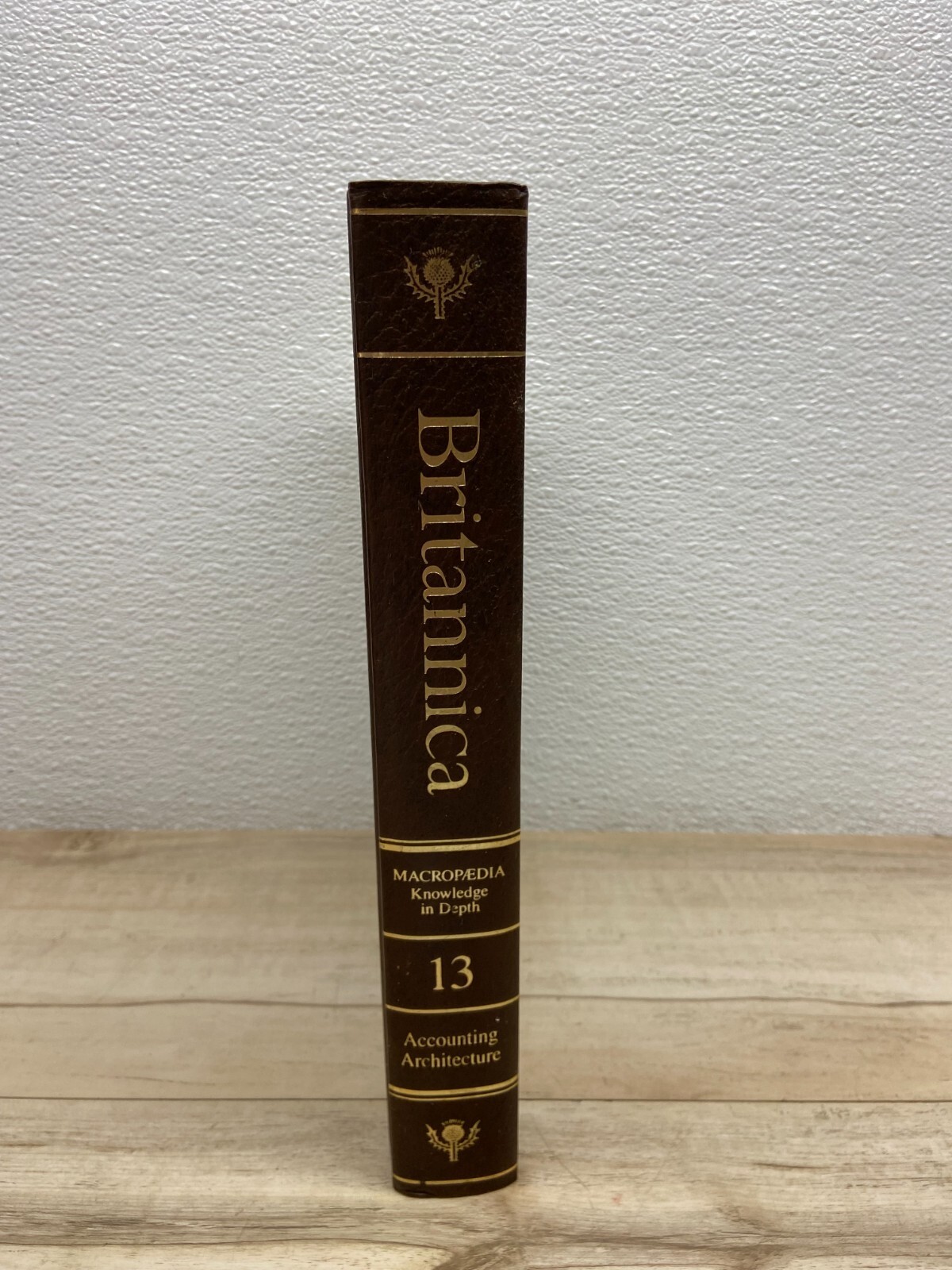Vtg 1989 Encyclopedia Britannica Vol.13 Macropedia Vtg 1989 Encyclopedia Britannica Vol.13 Macropedia
