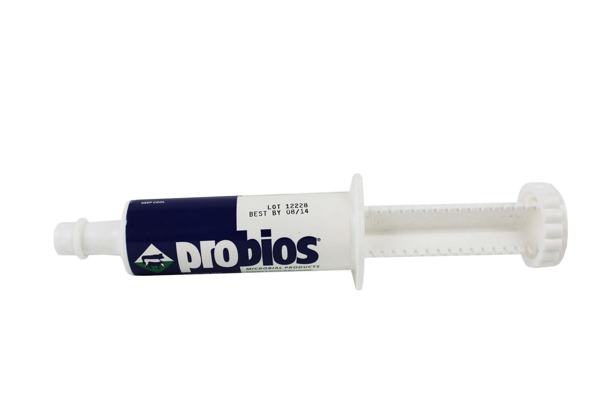 Probios Bovine One Gel Probiotic Supplement for Cattle Sheep and Goats 60g Probios Bovine One Gel Probiotic Supplement for Cattle Sheep and Goats 60g