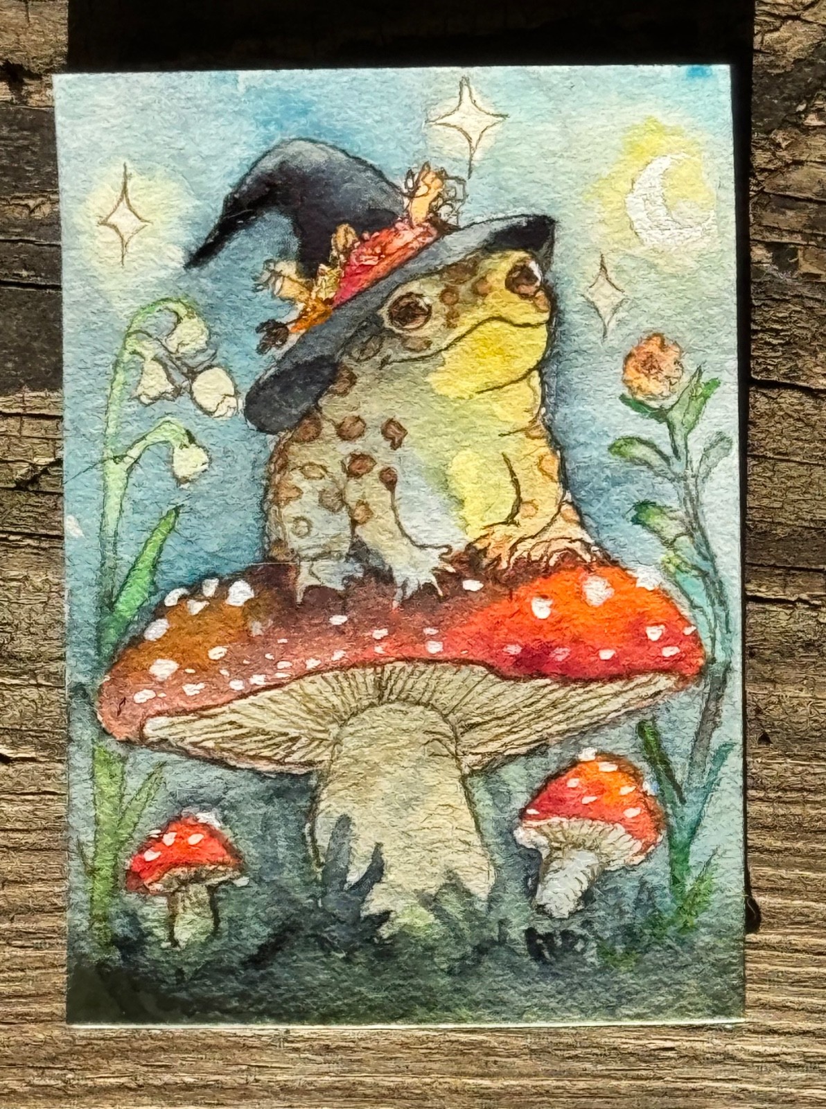 Origional Watercolor  ACEO Witch toad on mushroom signed by artist Edith Schmidt