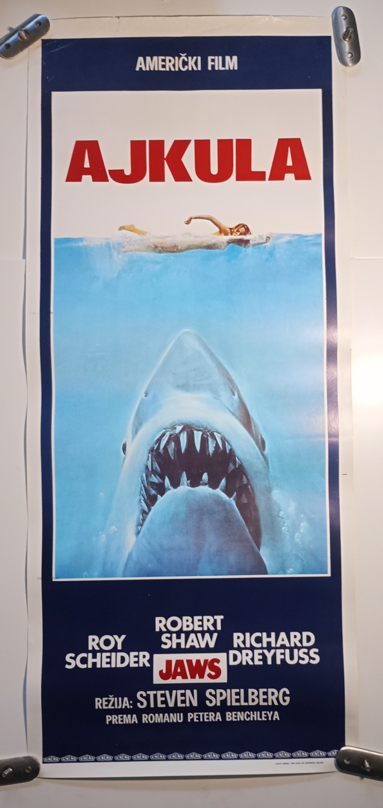 JAWS Steven Spielberg 13\ JAWS Steven Spielberg 13\