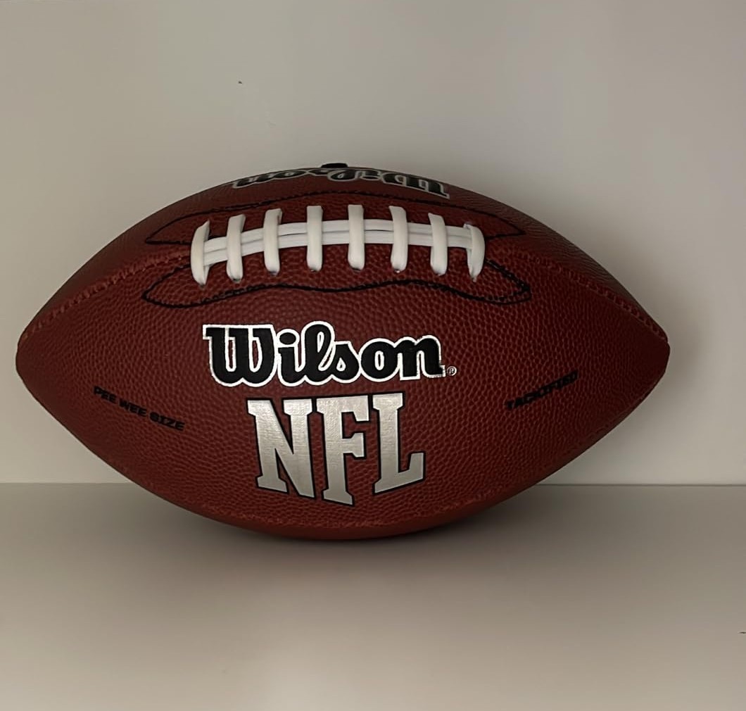 NEW WILSON NFL Recreational Footballs NEW WILSON NFL Recreational Footballs