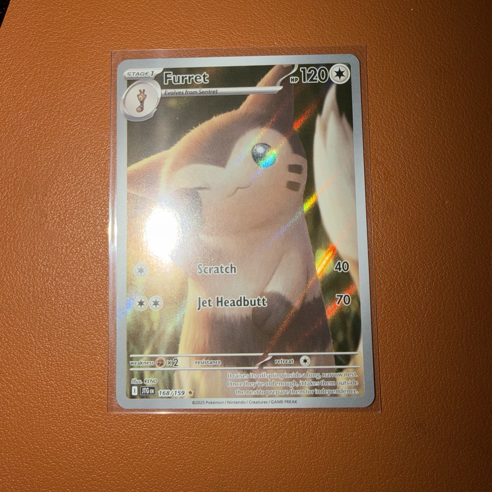 Furret Illustration Rare Holofoil 168/159 Pokémon Card - Journey Together Furret Illustration Rare Holofoil 168/159 Pokémon Card - Journey Together
