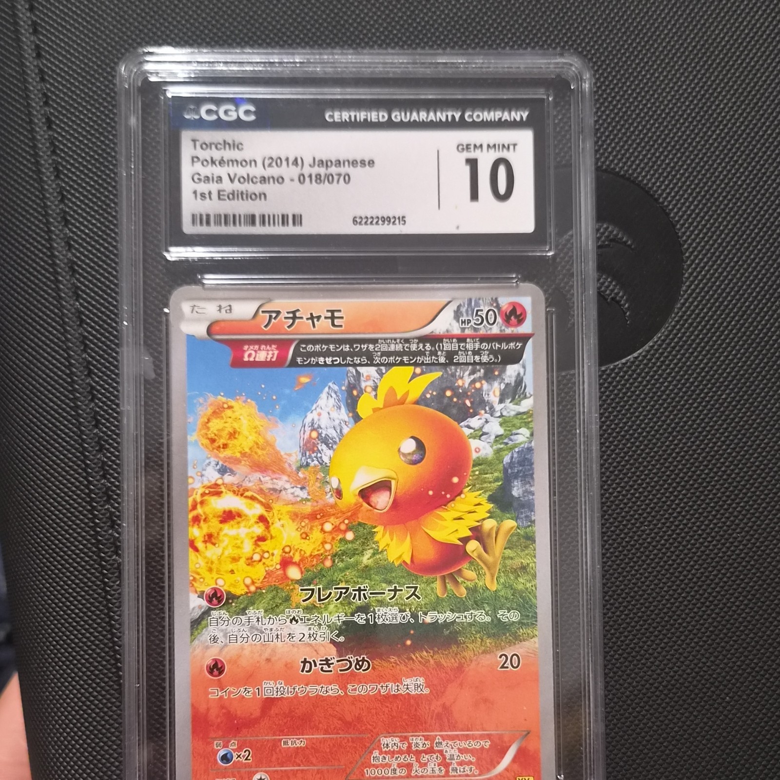 Pokémon TCG Torchic CGC 10 Japanese 1st Edition Gaia Volcano 018/070 50 HP 2014 Pokémon TCG Torchic CGC 10 Japanese 1st Edition Gaia Volcano 018/070 50 HP 2014