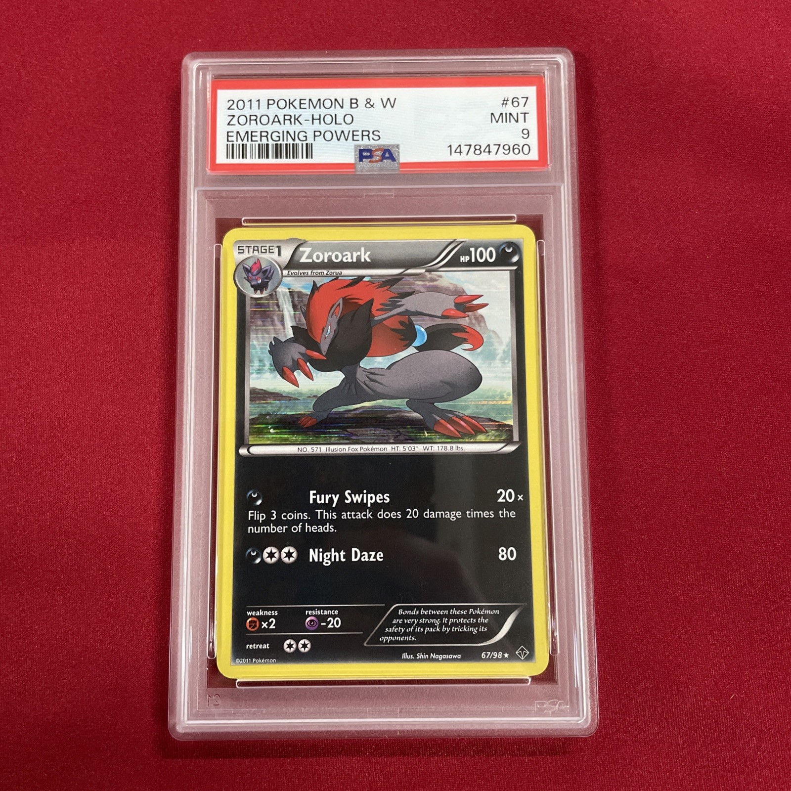 GRADED PSA 9 2011 Pokemon B & W Zoroark-Holo Emerging Powers #67 GRADED PSA 9 2011 Pokemon B & W Zoroark-Holo Emerging Powers #67