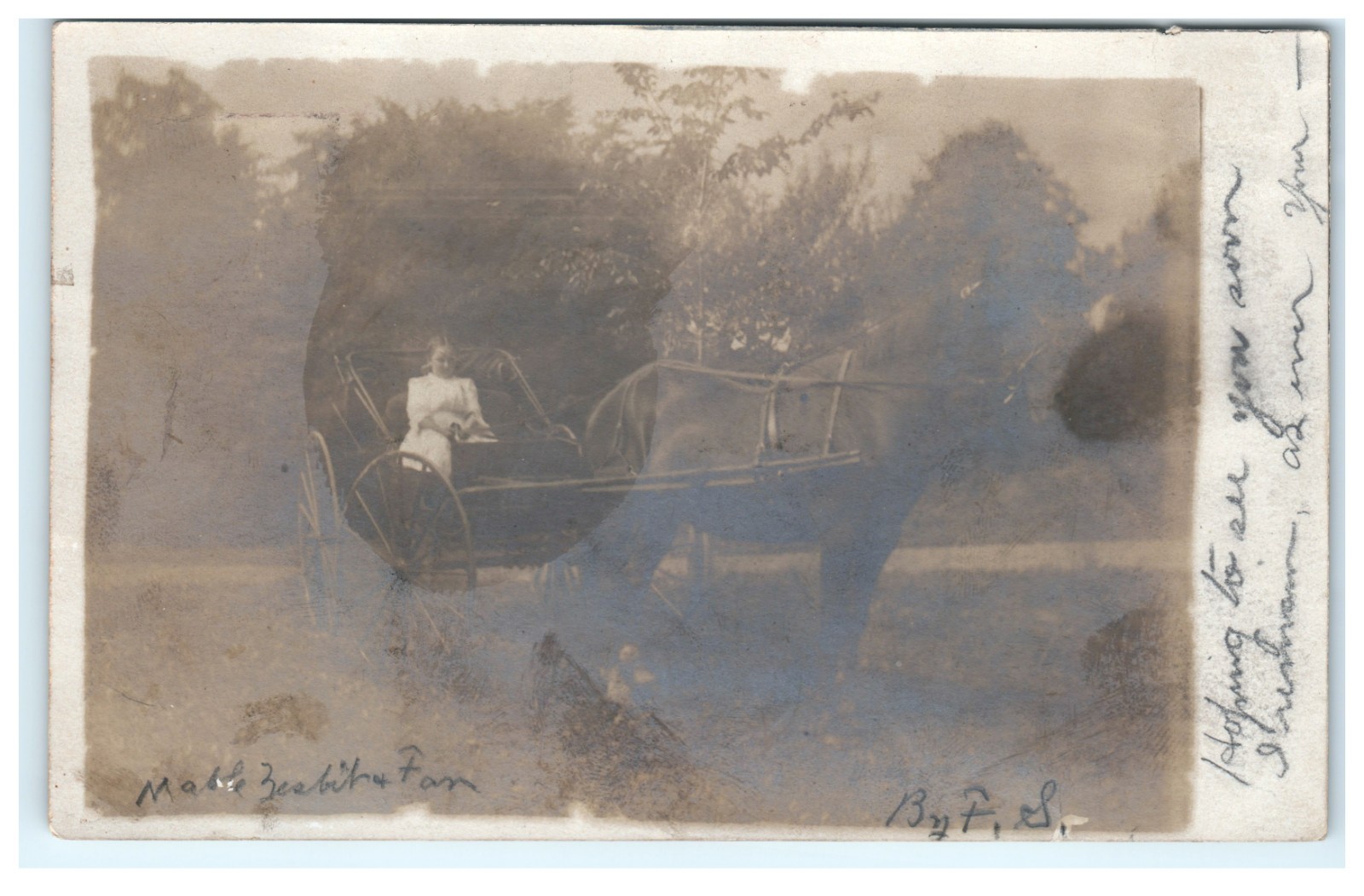 1906 Borodino New York Young Girl Horse Carriage RPPC