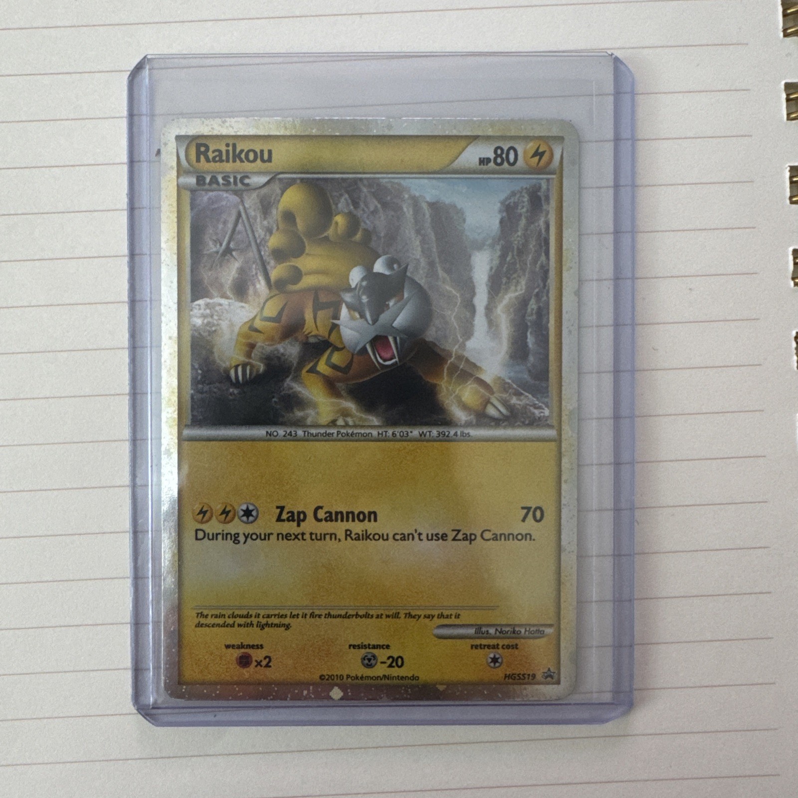 Pokémon TCG Raikou Promo HGSS19 HGSS Holo English 2010 SHINY RAIKOU