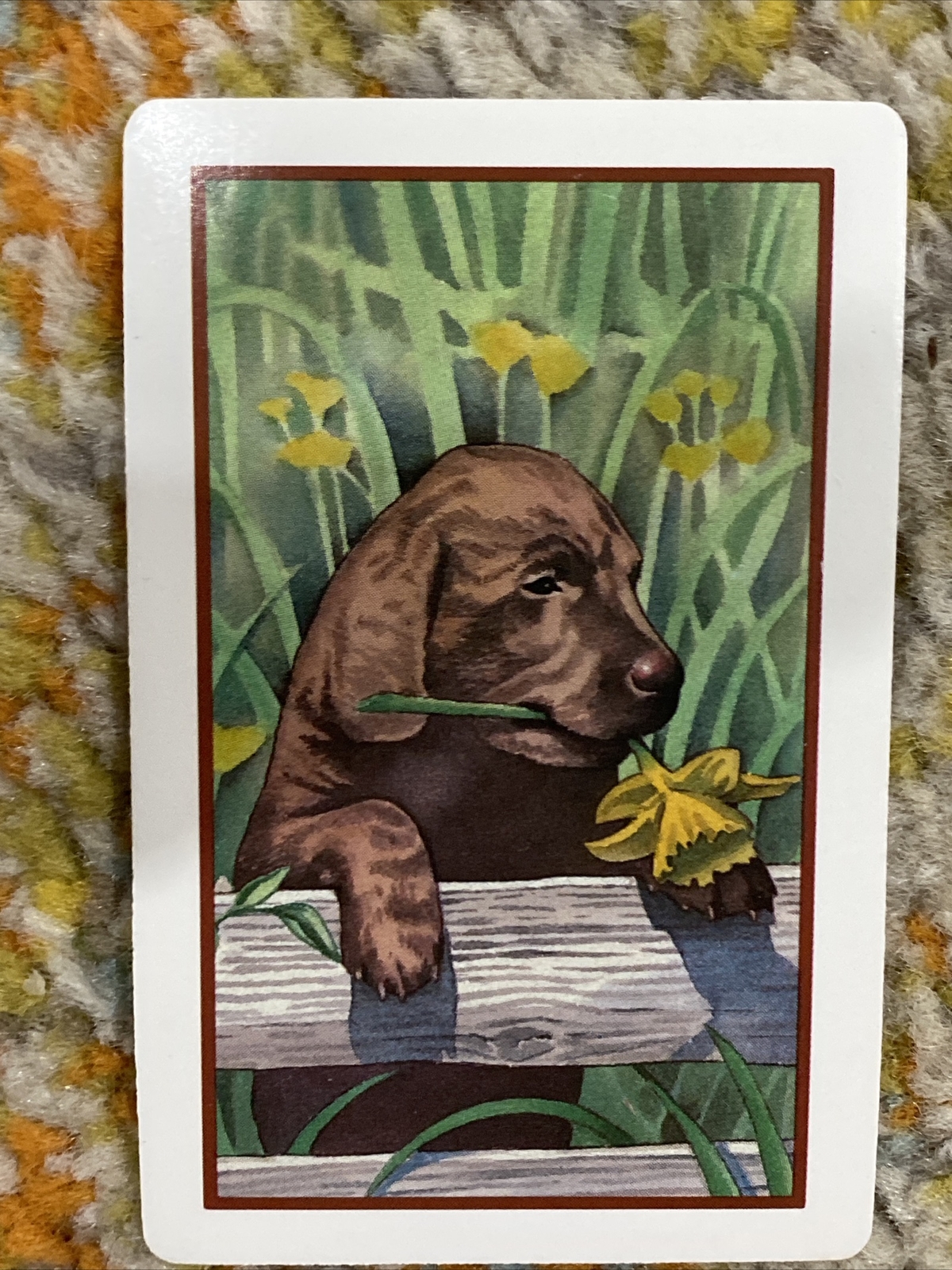 Vtg Single Swap Playing Card Chocolate Labrador Retriever Puppy Brown Lab Spring Vtg Single Swap Playing Card Chocolate Labrador Retriever Puppy Brown Lab Spring