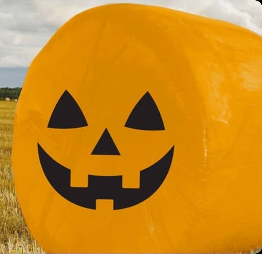 Halloween Pumpkin Face Holiday Bale Round Roll Cover Ranch & Farm COUNTRY CANVAS Halloween Pumpkin Face Holiday Bale Round Roll Cover Ranch & Farm COUNTRY CANVAS