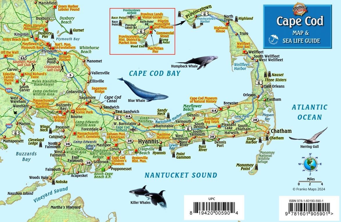 Cape Cod Visitor\'s Map & Wildlife Guide