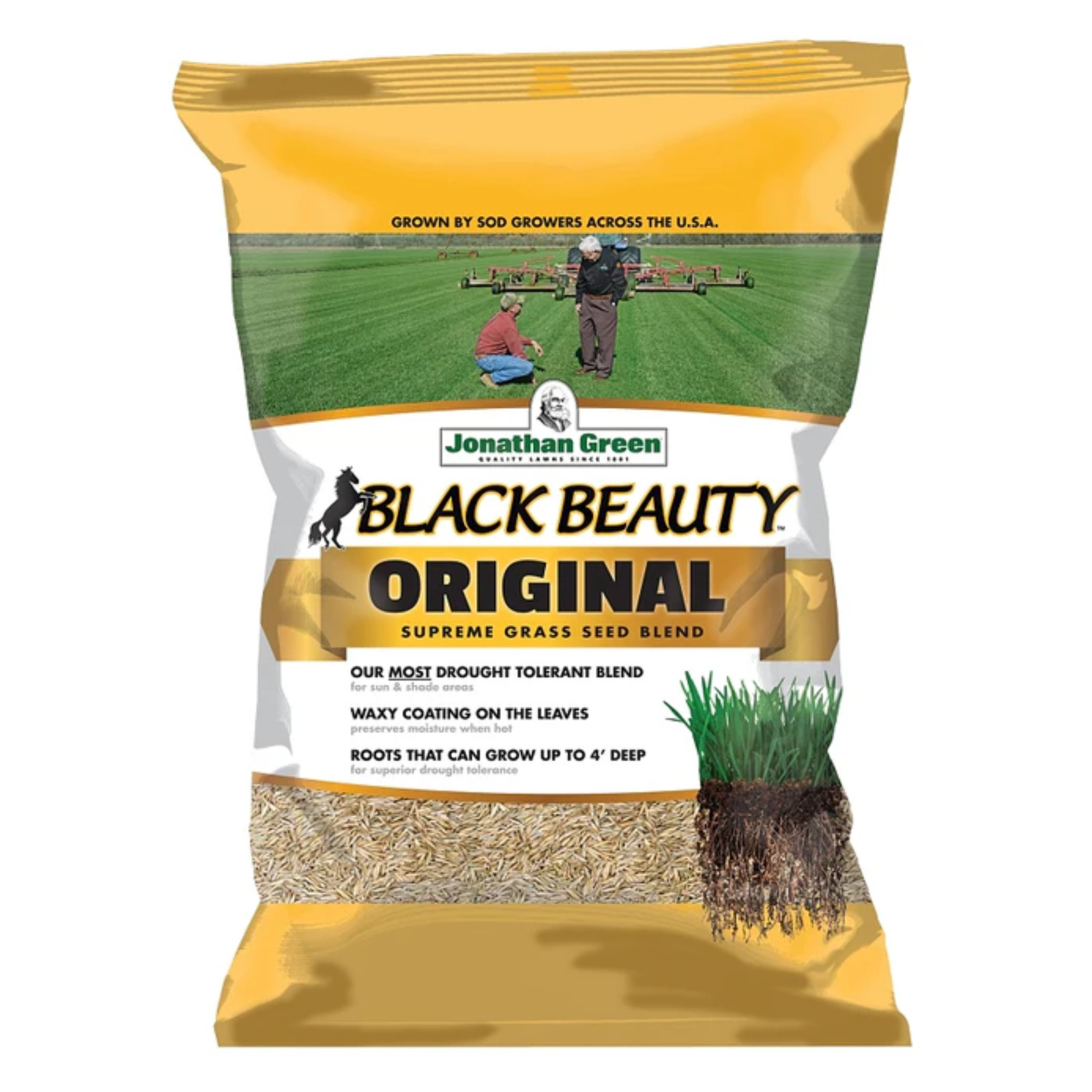 Jonathan Green Black Beauty Tall Fescue Grass Seed Blend, 50lb