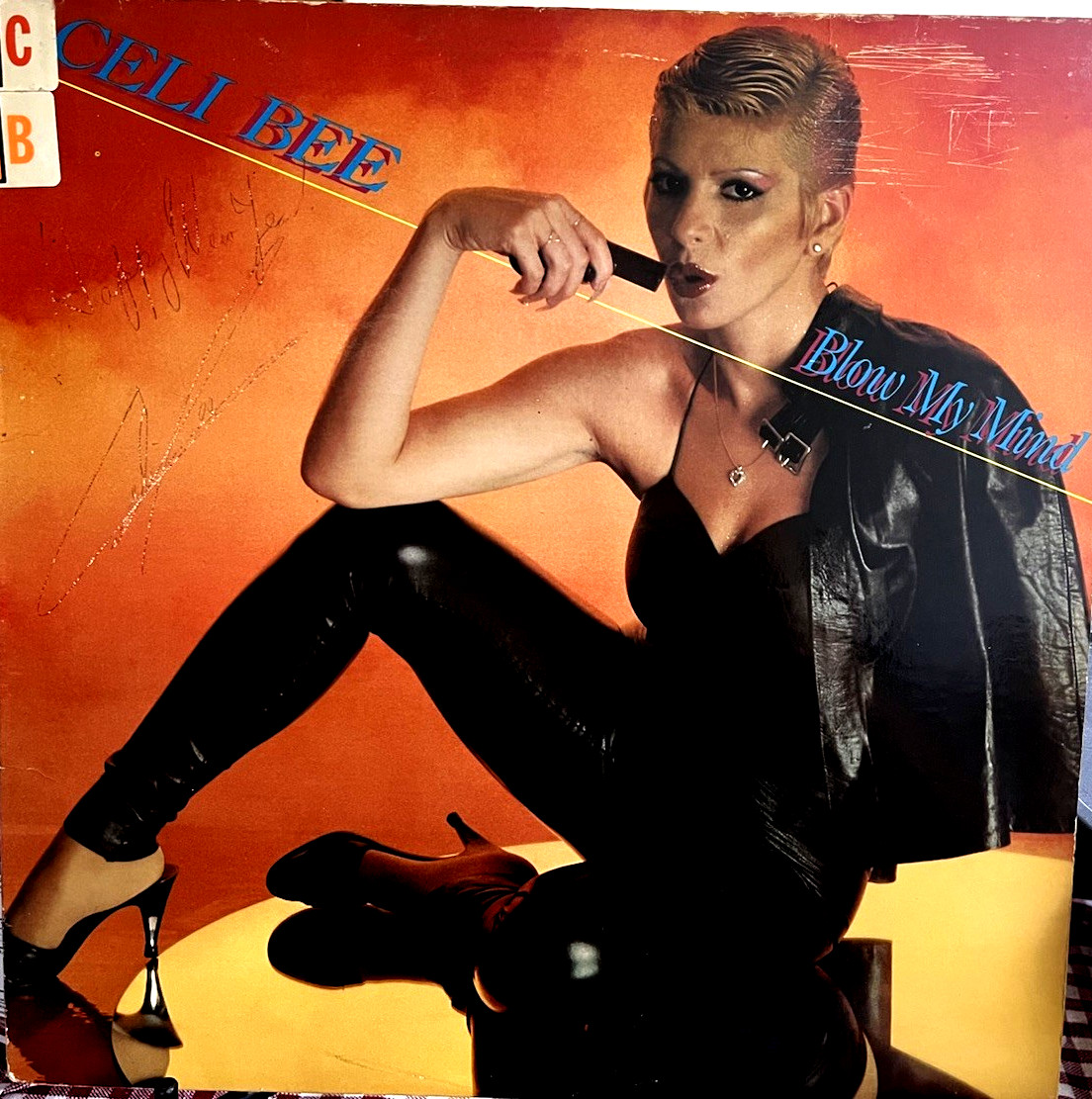 Celi Bee Blow My Mind LP 1979 APA 77005 SIGNED Disco Funk Vinyl NM