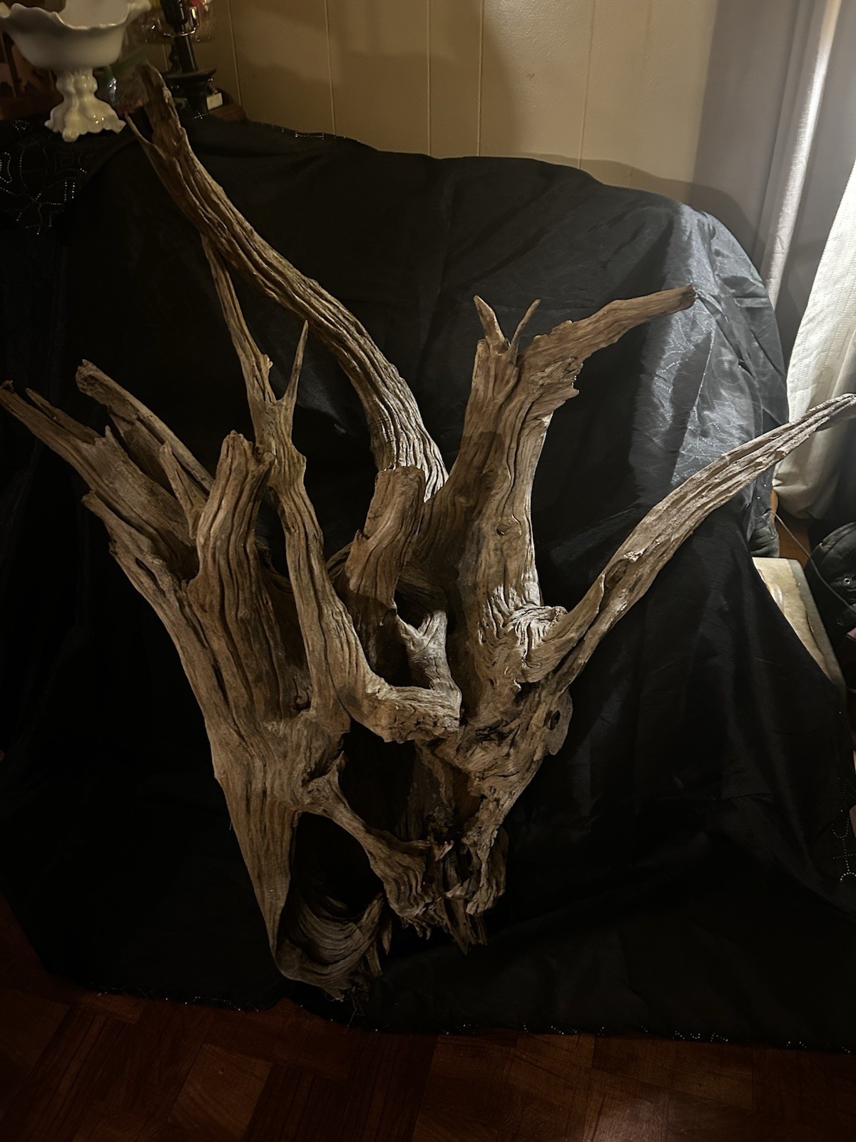 Extra Large Gorgeous Alabama Fabulous Piece Of Driftwood Extra Large Gorgeous Alabama Fabulous Piece Of Driftwood