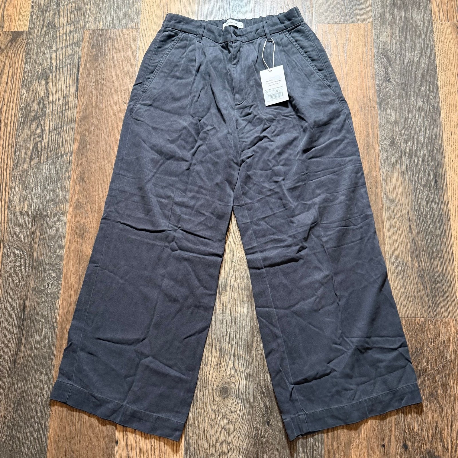 Everlane The Tencel Twill Pleated Chino Forged Iron Size 10 NWT