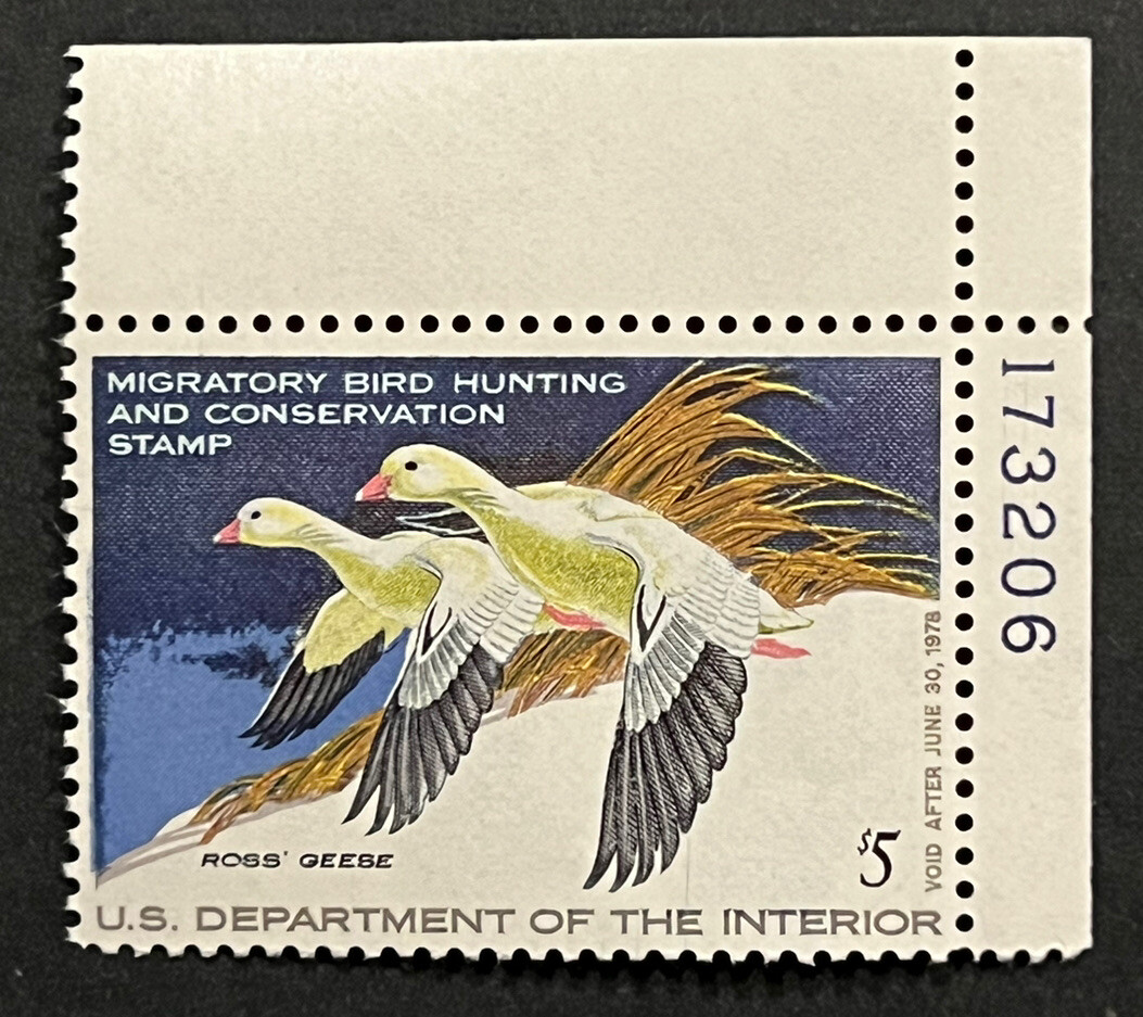 Travelstamps: 1977 US DUCK STAMPS  SCOTT #RW44 $5 ROSS\'s GEESE MINT MNH OG