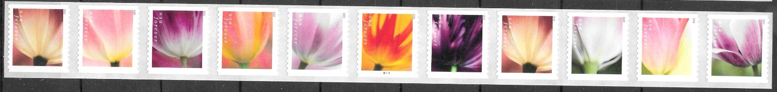 Scott #5776a 2023 (63c) Tulip, 3K or 10K Coil PNC11, Plate #B1111 MNH F-VF