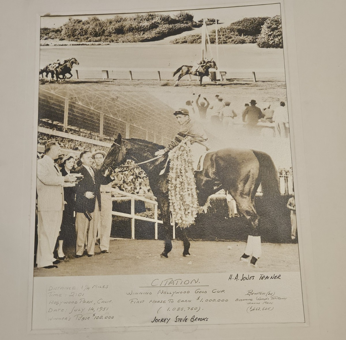 1951 Winner\'s Circle Photo, Citation, Hollywood Gold Cup, Jimmy Jones Estate