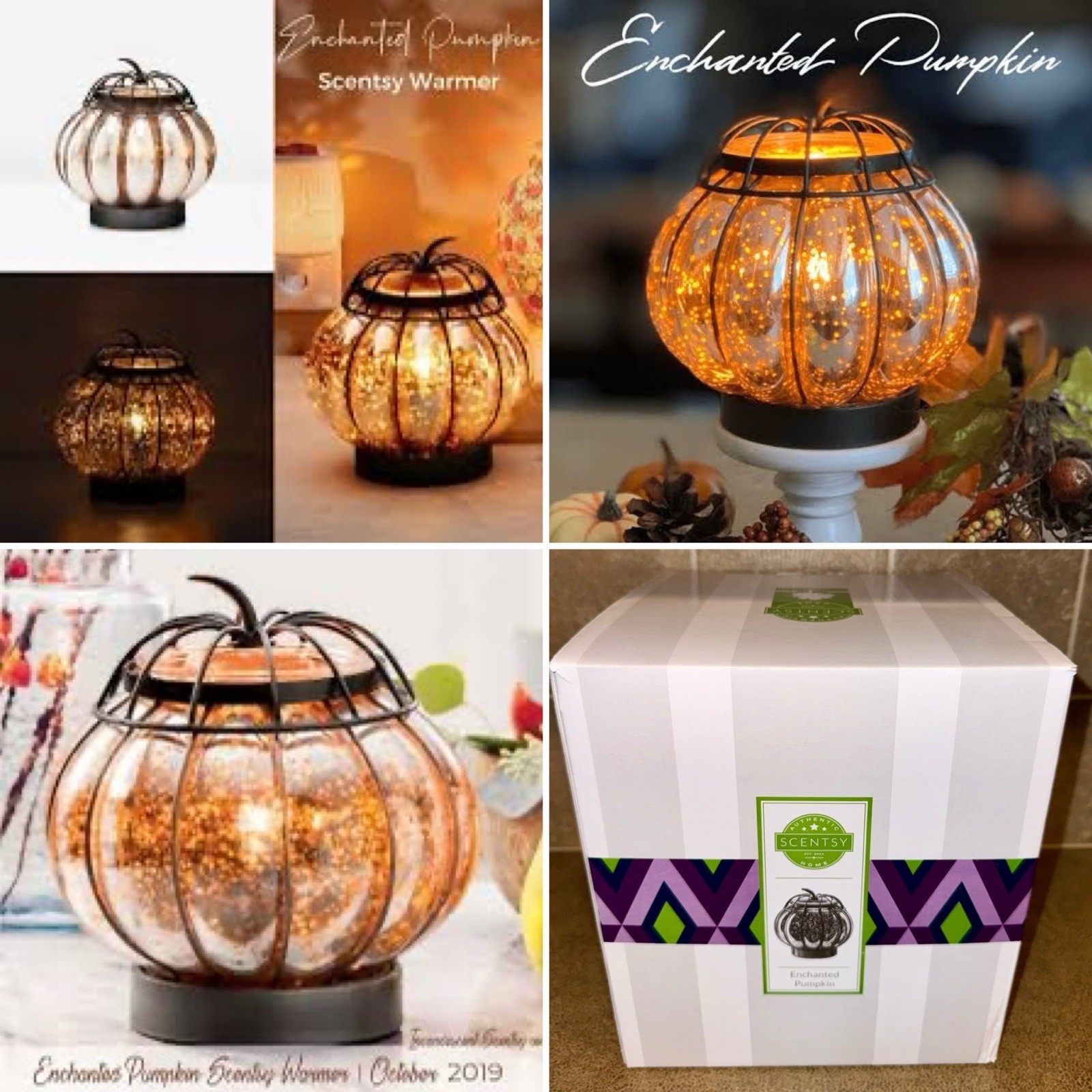 *** NEW 2019 SCENTSY ENCHANTED PUMPKIN FULL SIZE WARMER FALL HARVEST COLLECTION