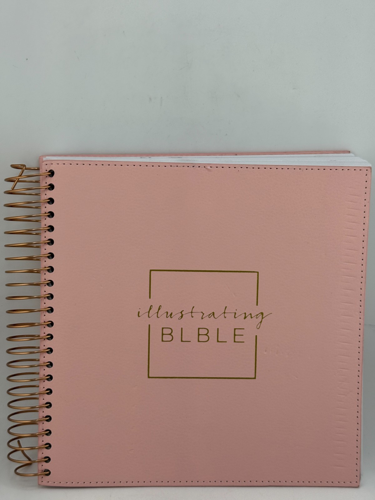 Illustrating Bible NIV Pink (Spiral Bound, Comb or Coil) New but a few flaws Illustrating Bible NIV Pink (Spiral Bound, Comb or Coil) New but a few flaws