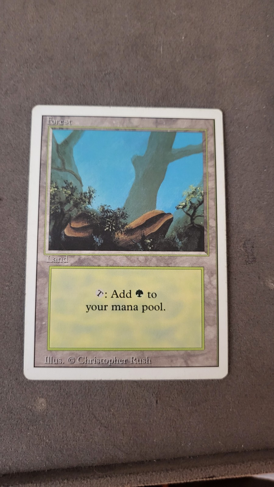 Forest MTG Magic the Gathering Old School Collectible