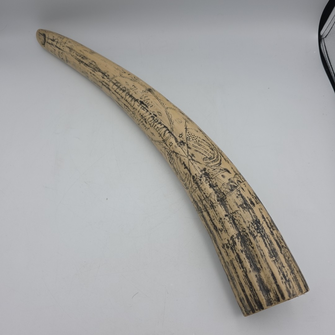 Scrimshaw walrus Tusk RESIN REPLICA the ship \