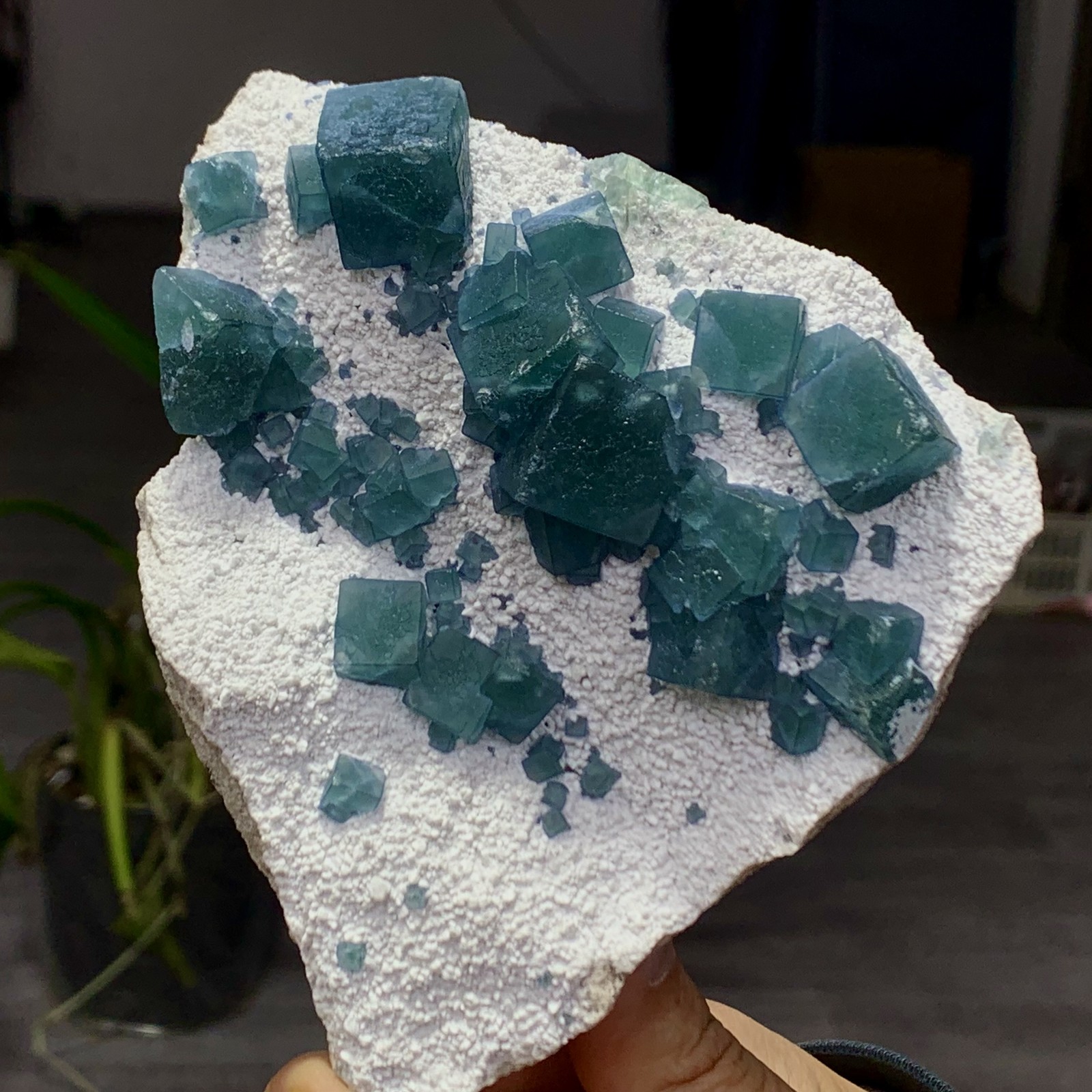 421G Natural Crystal rare transparent blue cubic fluorite sample