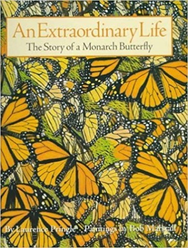 An Extraordinary Life: The Sto - VERY GOOD