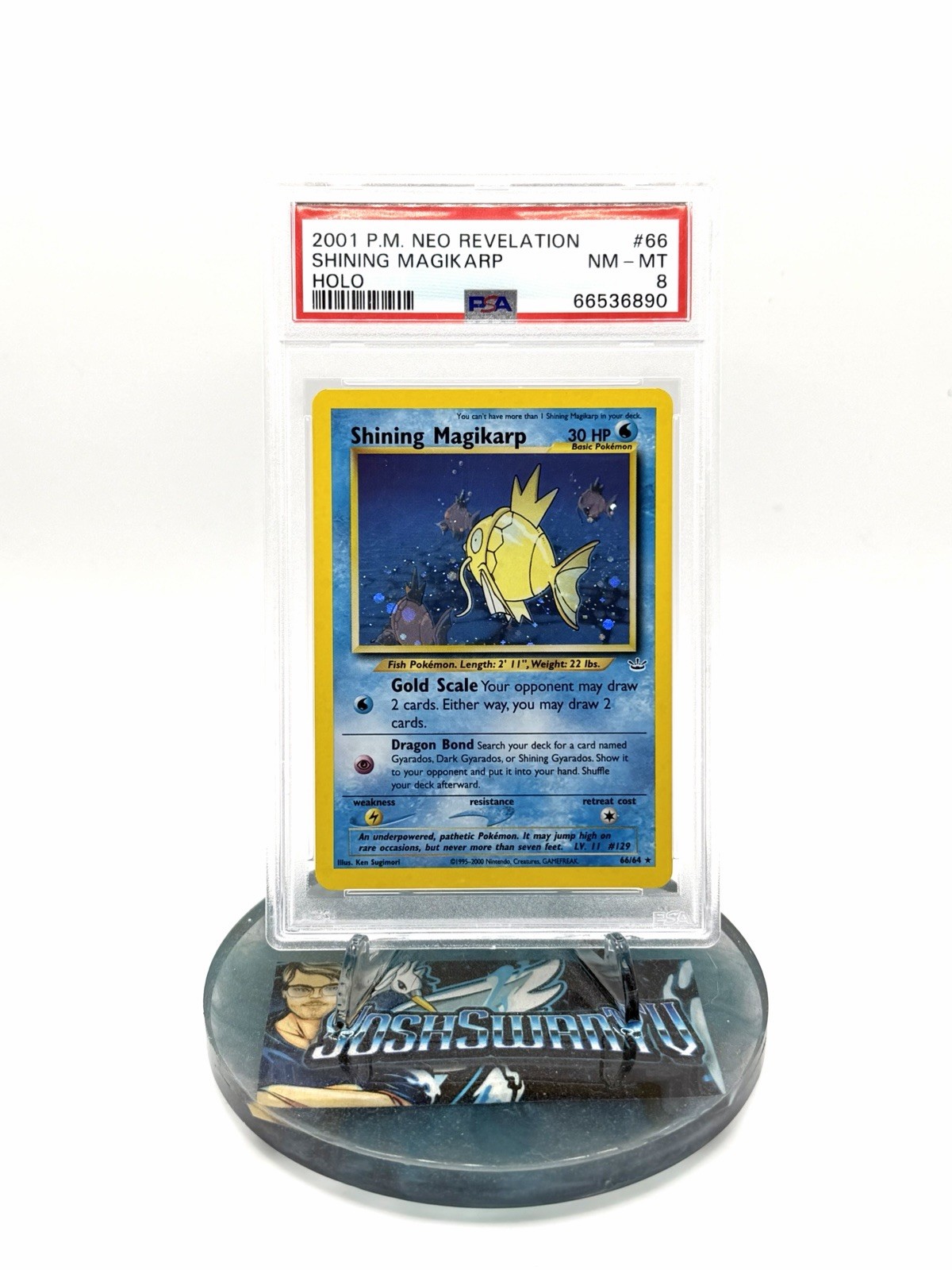 2001 POKEMON NEO REVELATION #66 SHINING MAGIKARP-HOLO PSA 8 2001 POKEMON NEO REVELATION #66 SHINING MAGIKARP-HOLO PSA 8