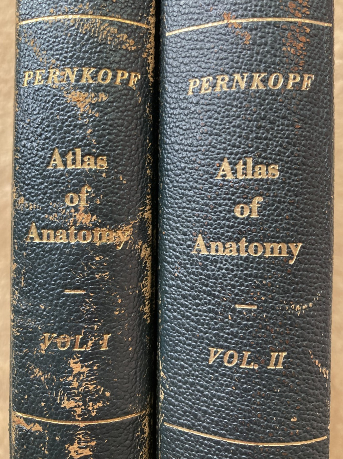 Pernkopf's ATLAS OF ANATOMY (2 Volume Set, 1963-64 ; 1st English Edition)