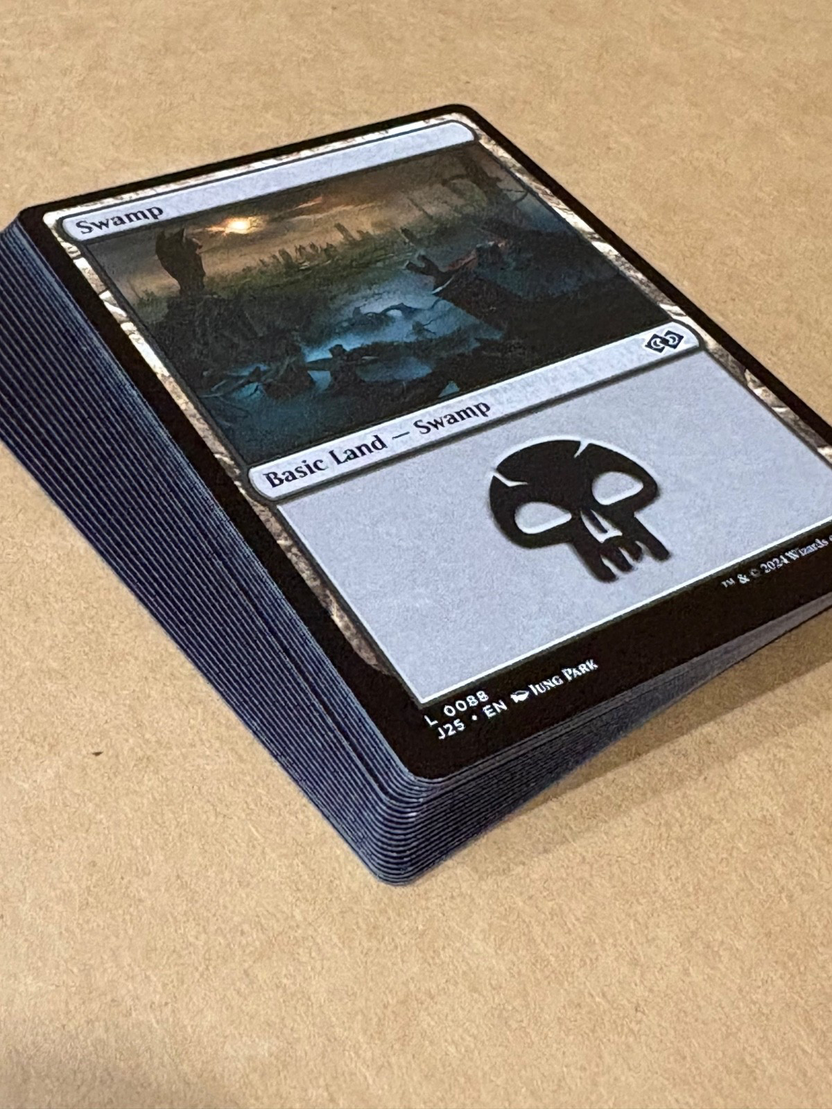 SWAMPS 24 NM MTG Swamps Basic Lands 2025 Magic the Gathering SWAMPS 24 NM MTG Swamps Basic Lands 2025 Magic the Gathering