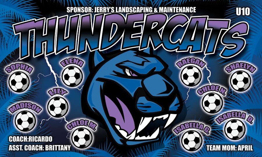 Thundercats  - Soccer Team Banner - (3ft x5ft) Your Team Name