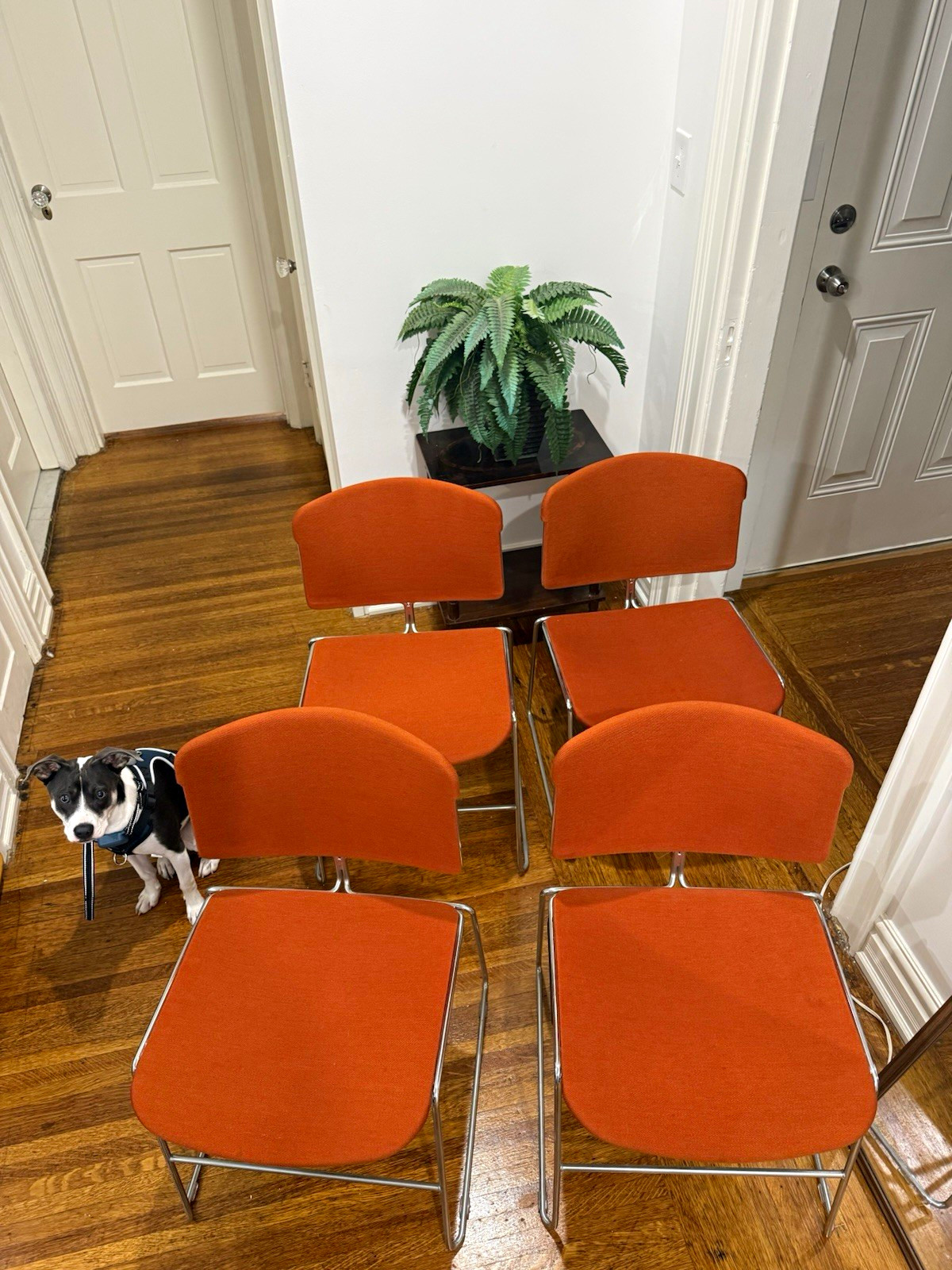 4 Rare Upholstered Orange Vintage Mid-Century Steelcase Max-Stacker Chairs 4 Rare Upholstered Orange Vintage Mid-Century Steelcase Max-Stacker Chairs